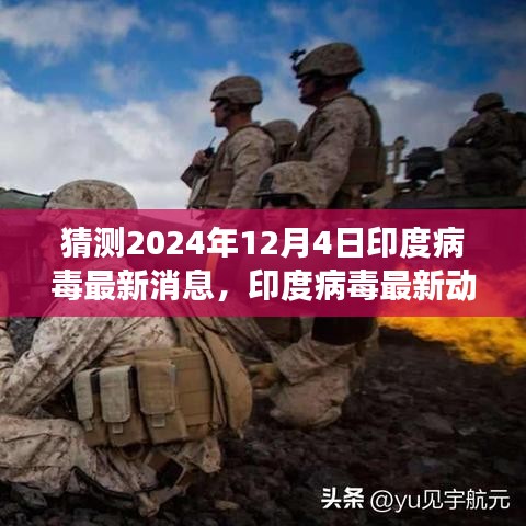 2024年12月4日印度病毒最新动态与预测洞察