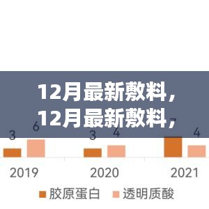 12月最新敷料革新与应用，深度探讨与解读