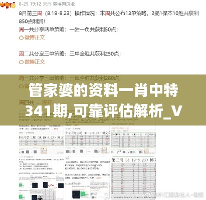 管家婆的资料一肖中特341期,可靠评估解析_VR3.850