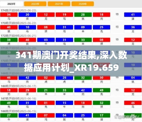 341期澳门开奖结果,深入数据应用计划_XR19.659