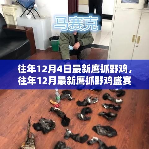 往年12月鹰猎野鸡盛宴，技巧分享与狩猎体验