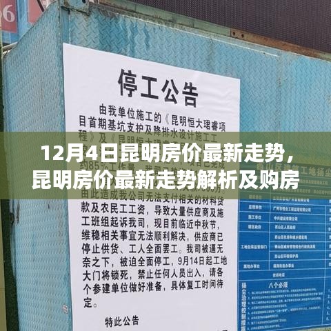 昆明房价最新走势解析，初学者与进阶用户的购房指南（12月4日更新）