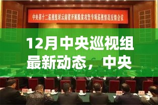 中央巡视组最新动态，深化党内监督，聚焦巡视成果，以最新一轮巡视为例