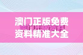 澳门正版免费资料精准大全341期,高效性实施计划解析_Pixel19.615