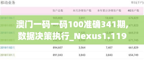 澳门一码一码100准确341期,数据决策执行_Nexus1.119