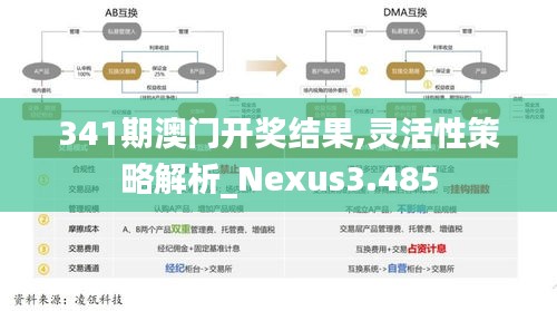 341期澳门开奖结果,灵活性策略解析_Nexus3.485