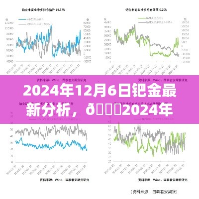 2024年钯金市场深度洞察，最新行情分析与未来趋势预测