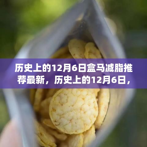 历史上的12月6日，盒马减脂引领健康之旅，励志成就感的自信之旅