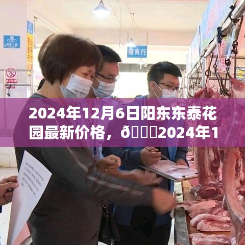 阳东东泰花园最新价格揭秘，2024年行情大揭秘