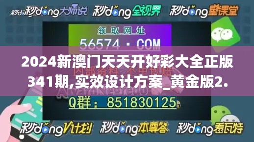 2024新澳门天天开好彩大全正版341期,实效设计方案_黄金版2.555