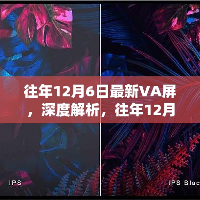 往年12月6日最新VA屏深度解析，表现如何？