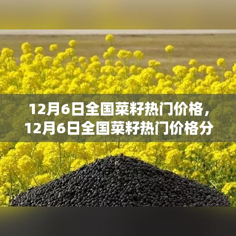 12月6日全国菜籽热门价格解析，市场走势洞察与个人观点分享