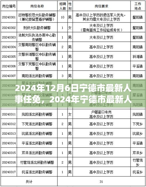 2024年宁德市人事任免信息解读与操作指南，初学者与进阶用户必读