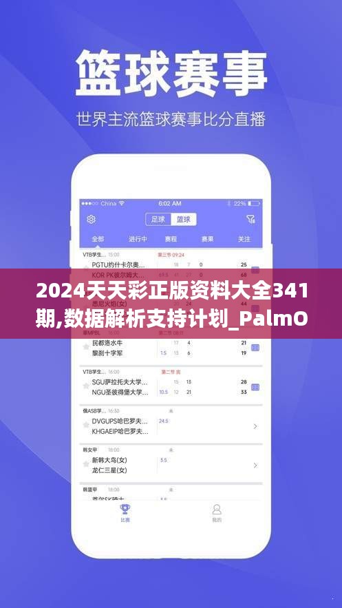 2024天天彩正版资料大全341期,数据解析支持计划_PalmOS17.790