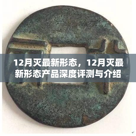 12月最新形态产品深度评测与介绍，全新体验揭秘