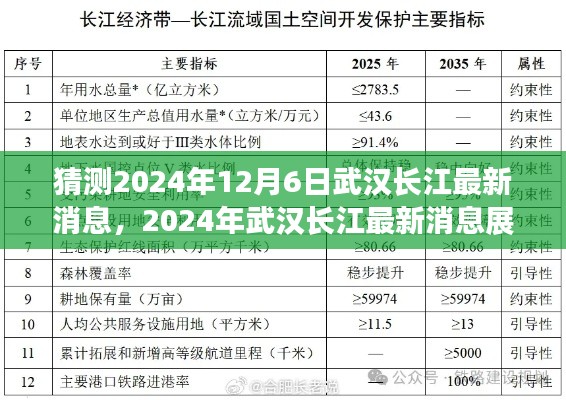 关于武汉长江发展与保护的探讨，最新消息展望至2024年12月6日