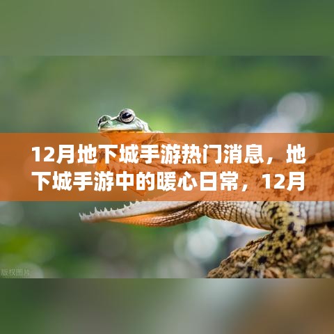 12月地下城手游，暖心日常与友情陪伴的时光