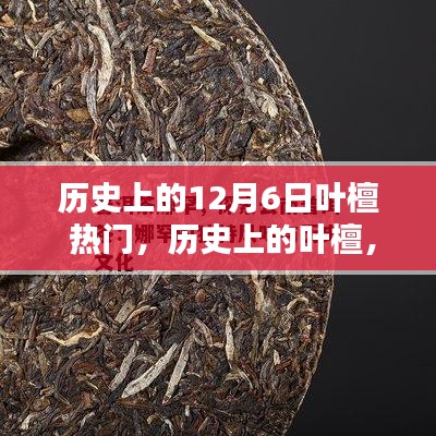 叶檀，历史上的传奇人物与热门话题，12月6日的独特印记回顾