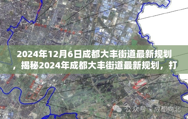 揭秘未来蓝图，成都大丰街道2024年最新规划展望