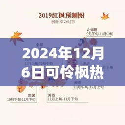 纪念特殊时刻，可怜枫热背后的故事与影响——2024年12月6日时光印记