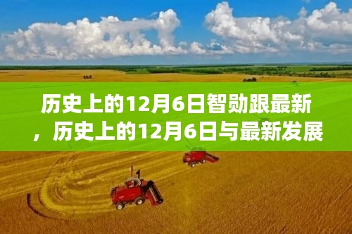 历史上的12月6日，智勋的影响与最新发展观点探讨