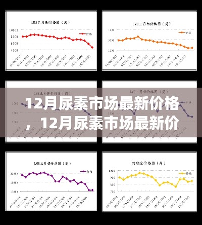 多方观点碰撞与个人立场，12月尿素市场最新价格及走势分析