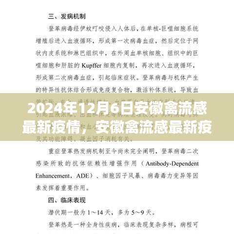 深度观察，安徽禽流感最新疫情背景、进展与影响分析（2024年12月6日）