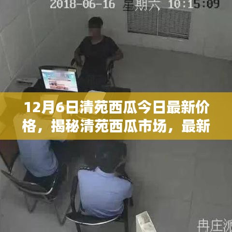 清苑西瓜最新价格动态及市场分析，揭秘市场趋势（以12月6日数据为例）