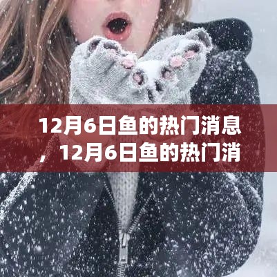 深度解析，揭秘12月6日鱼的热门消息背后的观点与立场