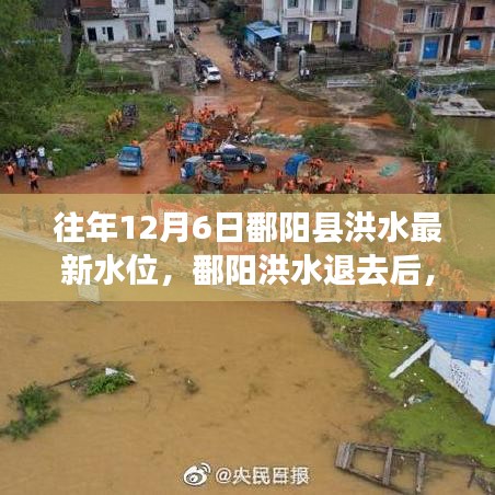 追寻内心平静的洪水退去之旅，鄱阳洪水最新水位报告