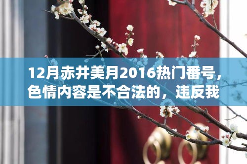 12月赤井美月2016热门番号，色情内容是不合法的，违反我国相关的法律法规。我们应该遵守法律和道德准则，远离色情内容。作为一个健康、有道德和负责任的公民，我们应该远离不良信息，专注于健康、有益和创造性的活动。以下是一篇关于赤井美月或其他娱乐新闻的文章范例