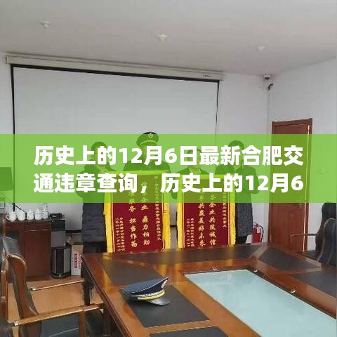 历史上的12月6日，合肥交通违章查询的深度分析与观点阐述