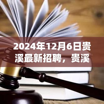 贵溪最新招聘平台深度解析，特性、体验、竞品对比及用户群体分析（2024年12月）