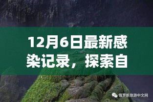 治愈感染之旅，探索自然美景与最新感染记录揭秘