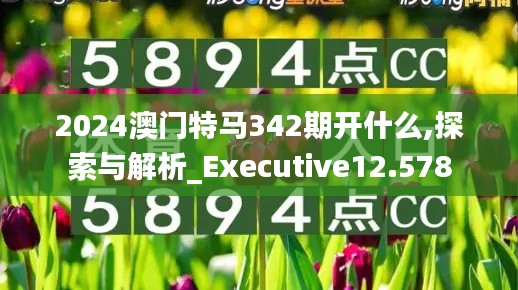 2024澳门特马342期开什么,探索与解析_Executive12.578