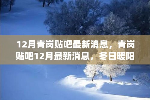 冬日暖阳下的青岗贴吧，最新消息与友情故事汇聚