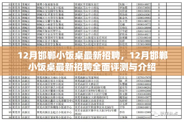 12月邯郸小饭桌最新招聘全面解析与评测