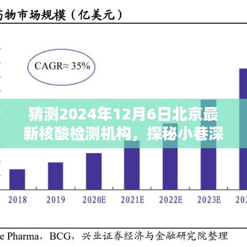 探秘北京隐藏版核酸检测机构，2024年12月6日最新核酸检测宝藏揭秘