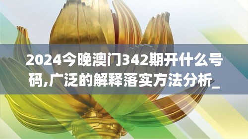 2024今晚澳门342期开什么号码,广泛的解释落实方法分析_桌面版4.154