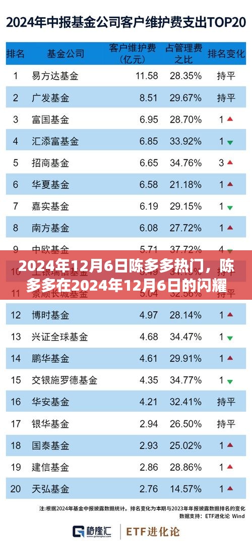 陈多多闪耀时刻，揭秘其在2024年12月6日的背后故事与热门之路