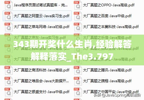 343期开奖什么生肖,经验解答解释落实_The3.797