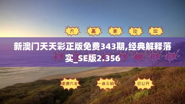 新澳门天天彩正版免费343期,经典解释落实_SE版2.356