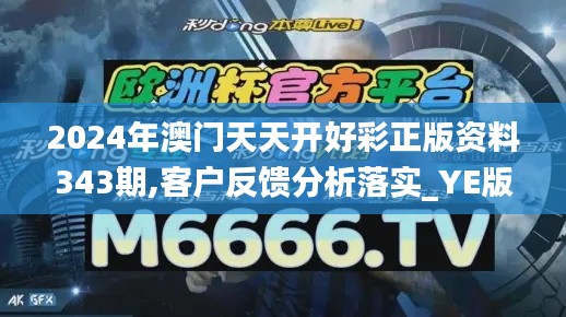 2024年澳门天天开好彩正版资料343期,客户反馈分析落实_YE版9.370