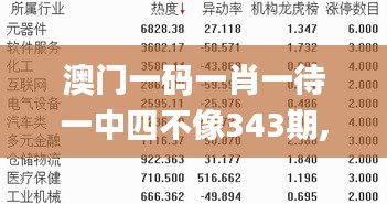 澳门一码一肖一待一中四不像343期,衡量解答解释落实_QHD版9.179