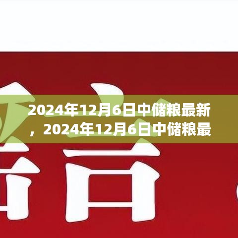 聚焦粮食储备与管理创新，中储粮最新动态报道