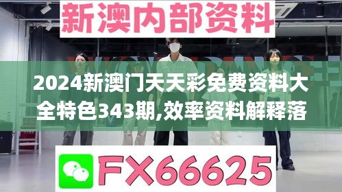 2024新澳门天天彩免费资料大全特色343期,效率资料解释落实_静态版10.108