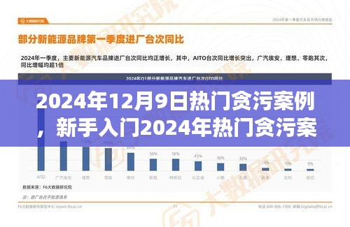 新手入门指南，深入了解贪污案例调查流程与技能学习——以2024年热门贪污案例为例