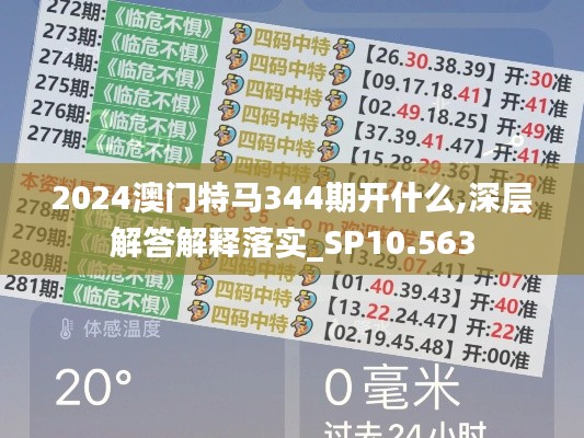 2024澳门特马344期开什么,深层解答解释落实_SP10.563