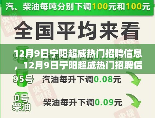 12月9日宁阳超威热门招聘信息详解与全面评测