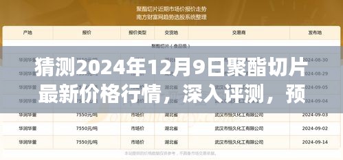 独家解析，预测与深入评测2024年12月9日聚酯切片最新价格行情及市场洞察